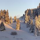 Landschaft bei Masserberg