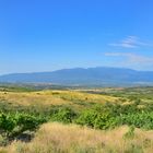 Landschaft bei Melnik in Bulgarien