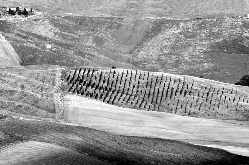 Landschaft bei Montalcino