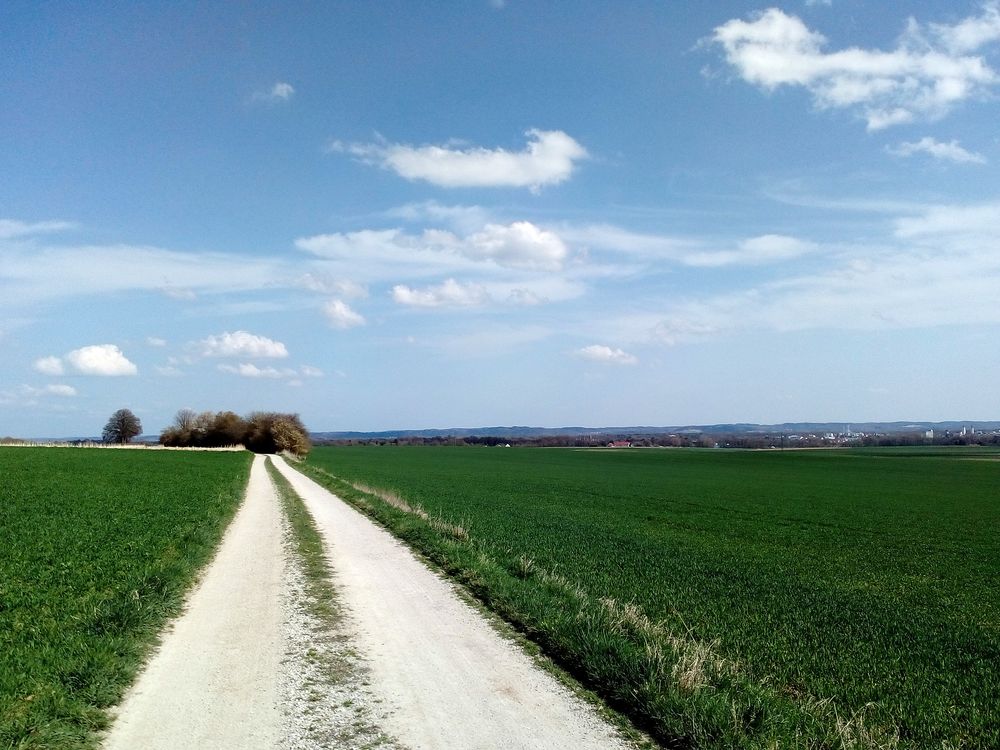 Landschaft bei Moosburg