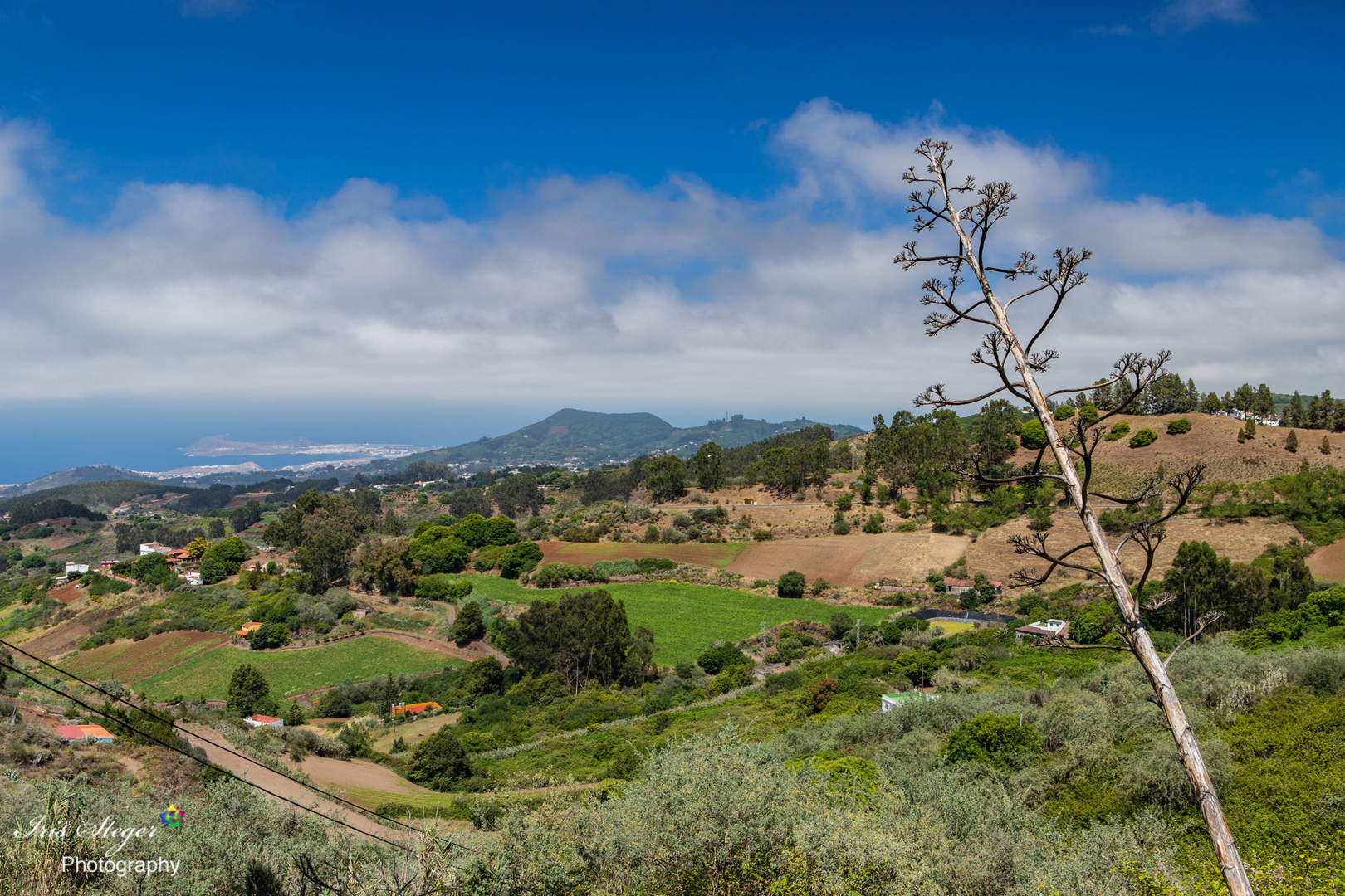 Landschaft bei Moya auf Gran Canaria