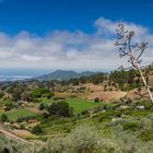 Landschaft bei Moya auf Gran Canaria