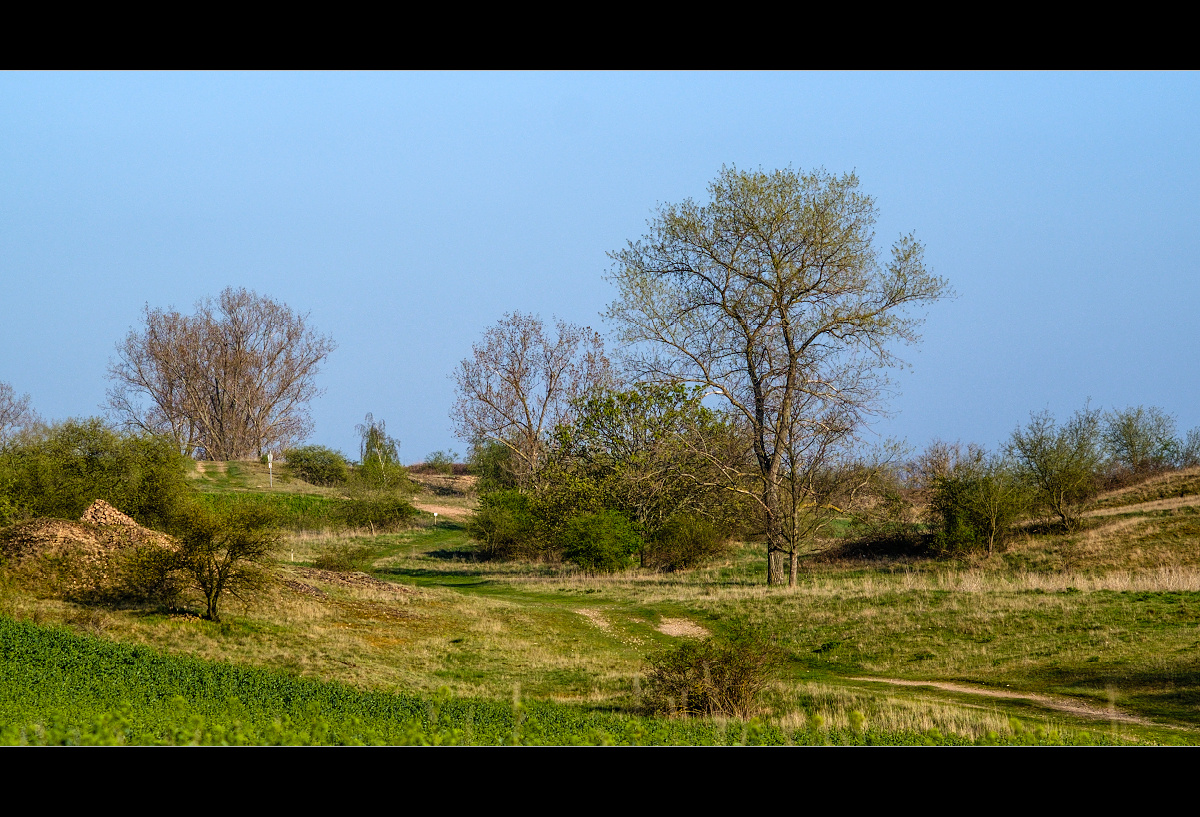 Landschaft bei Mücheln