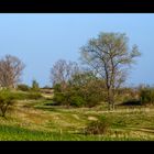 Landschaft bei Mücheln