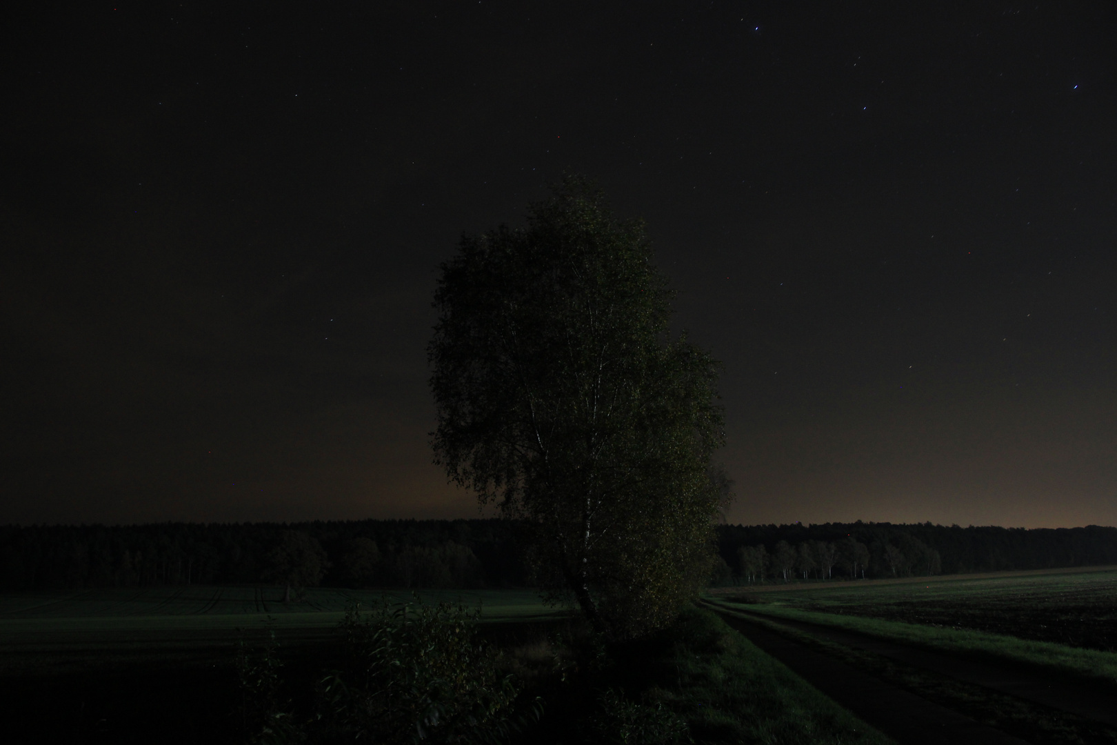 Landschaft bei Nacht