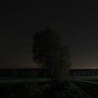 Landschaft bei Nacht