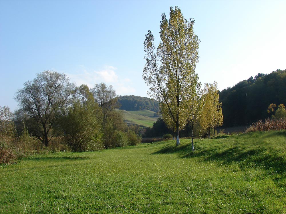 Landschaft bei Nemsa ( Nimesch ) in der Nähe von Medias