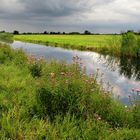 Landschaft bei Netzen