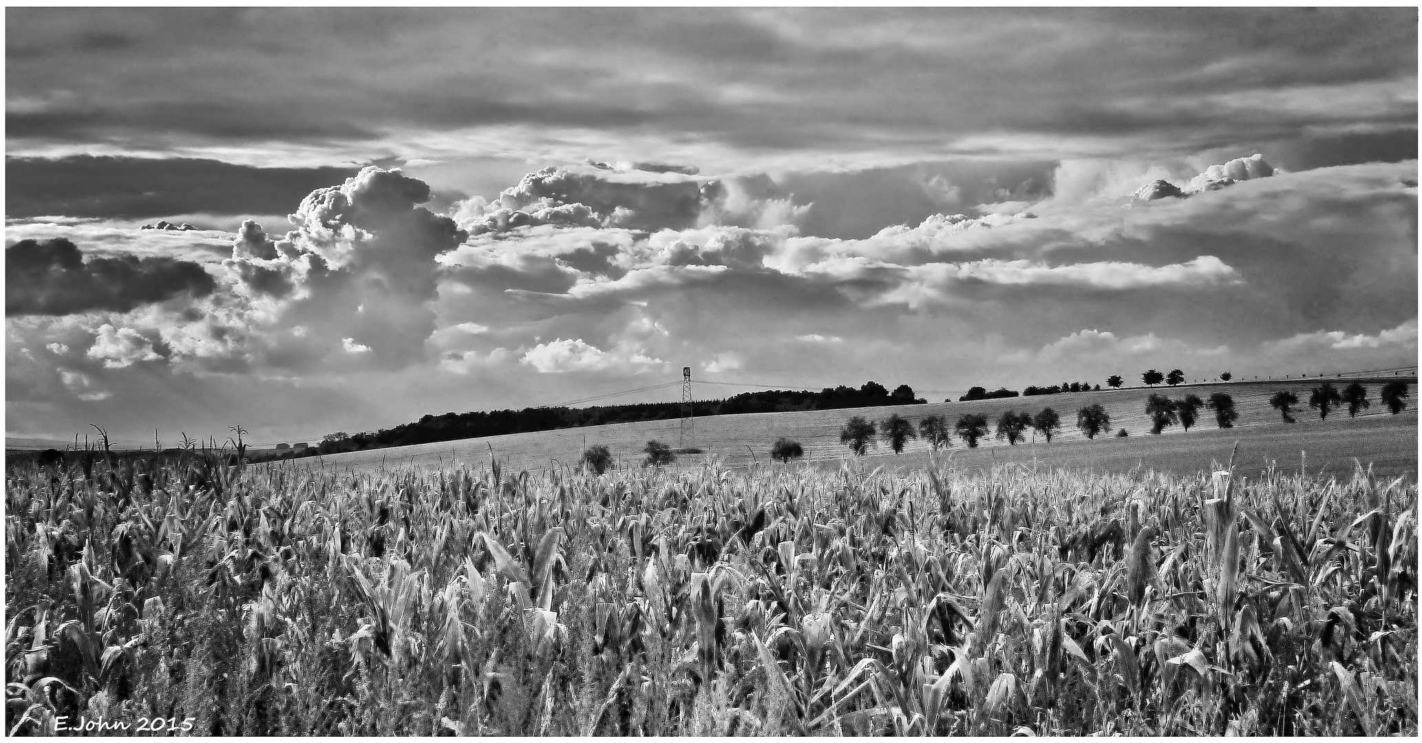 Landschaft bei Nordhausen am Harz in S/W