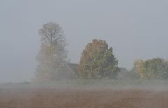 Landschaft bei Oberpfreimd im Morgennebel