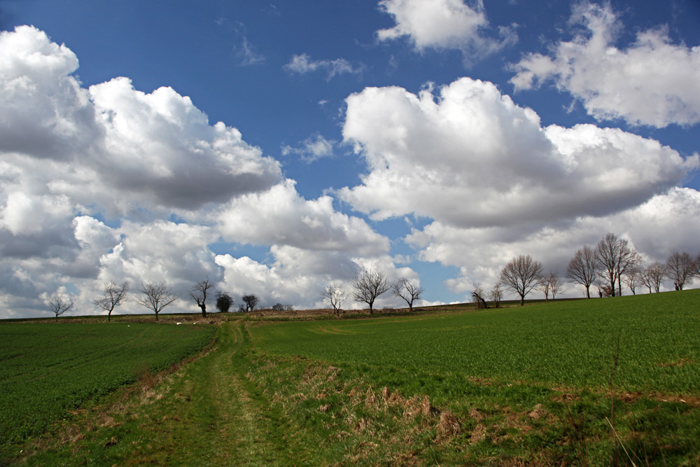 Landschaft bei Oberwartha