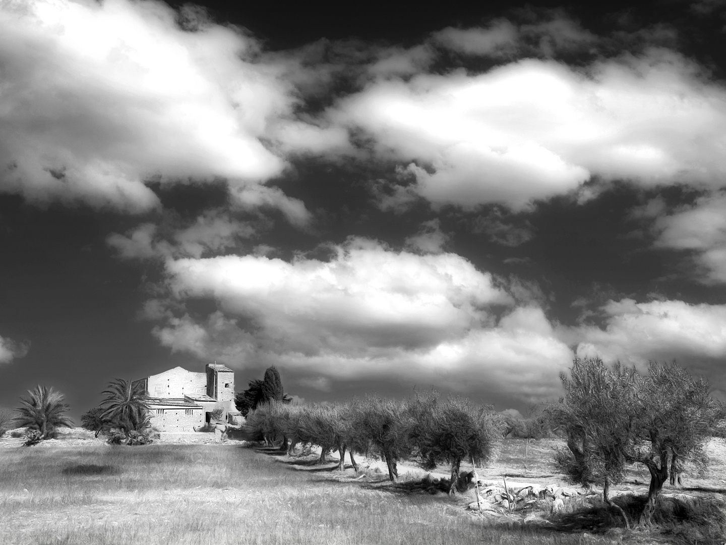 landschaft-bei-pachino