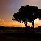 Landschaft bei Paestum