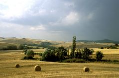 Landschaft bei Pienza 03