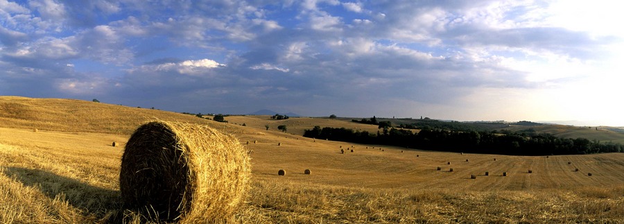 Landschaft bei Pienza 04