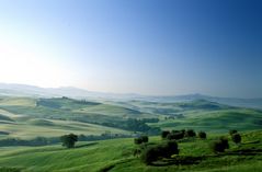 Landschaft bei Pienza