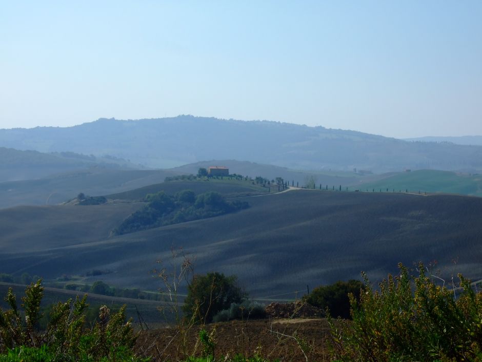 Landschaft bei Pienza (Provinz Siena)