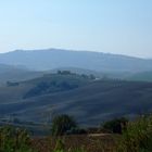 Landschaft bei Pienza (Provinz Siena)