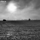 Landschaft bei Pietling im Nebel SW