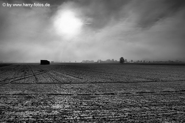Landschaft bei Pietling im Nebel SW