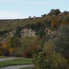 Landschaft bei Poppenweiler (Ludwigsburg)