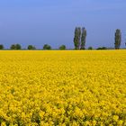 Landschaft bei Putgarten