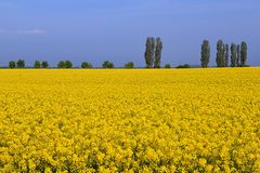 Landschaft bei Putgarten