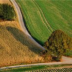 « Landschaft bei Recklinghausen »