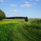 Landschaft bei Reken.