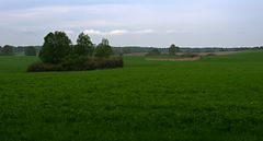 Landschaft bei Ringenwalde