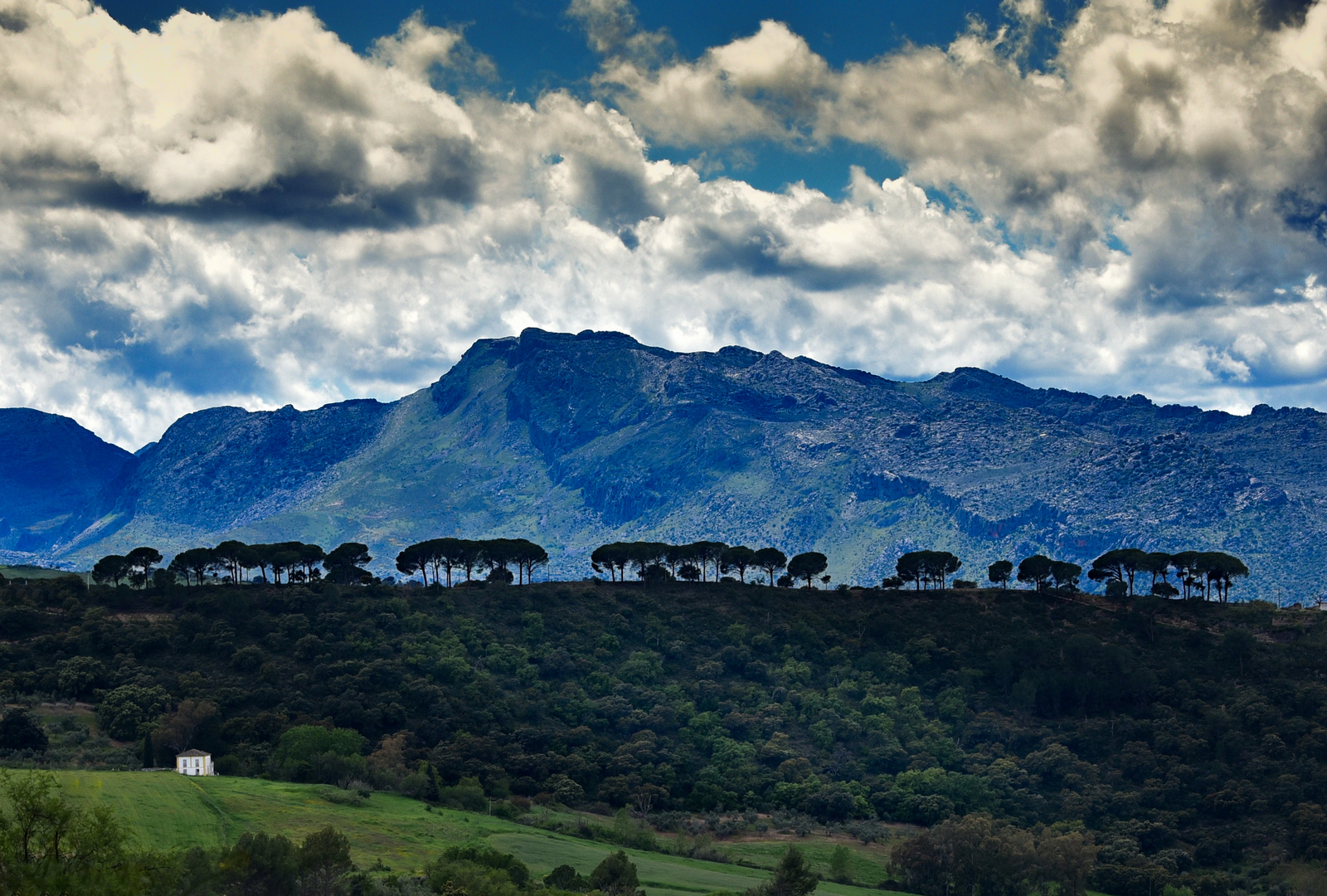 Landschaft bei Ronda