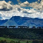 Landschaft bei Ronda