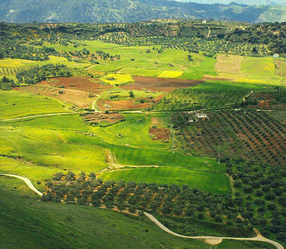 Landschaft bei Ronda