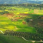 Landschaft bei Ronda