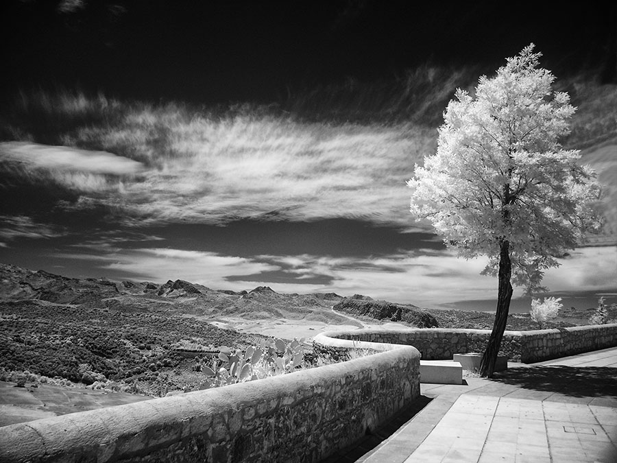 Landschaft bei Ronda-Andalusien