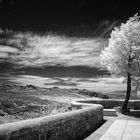 Landschaft bei Ronda-Andalusien