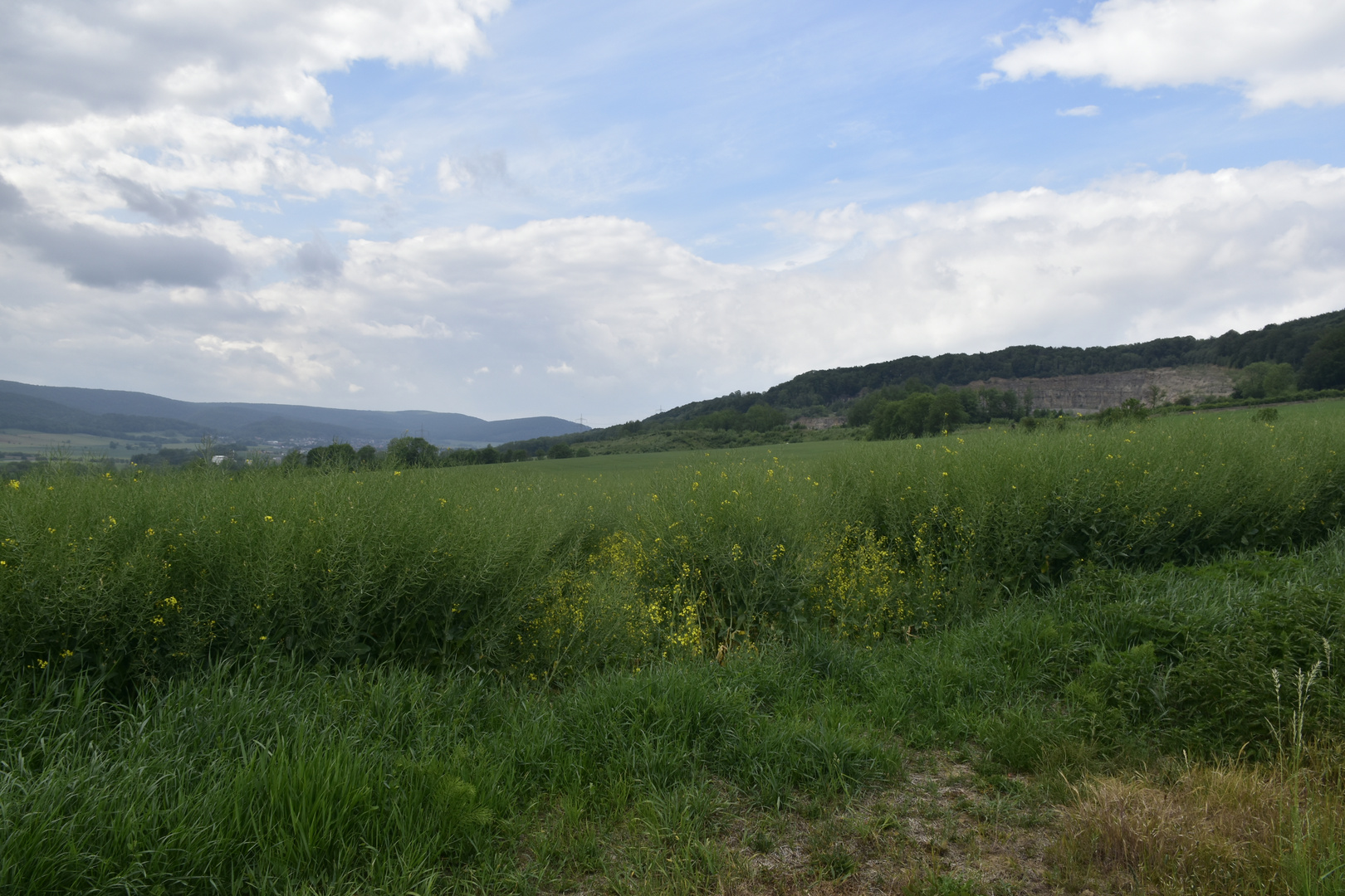 Landschaft bei Salzhemmendorf 