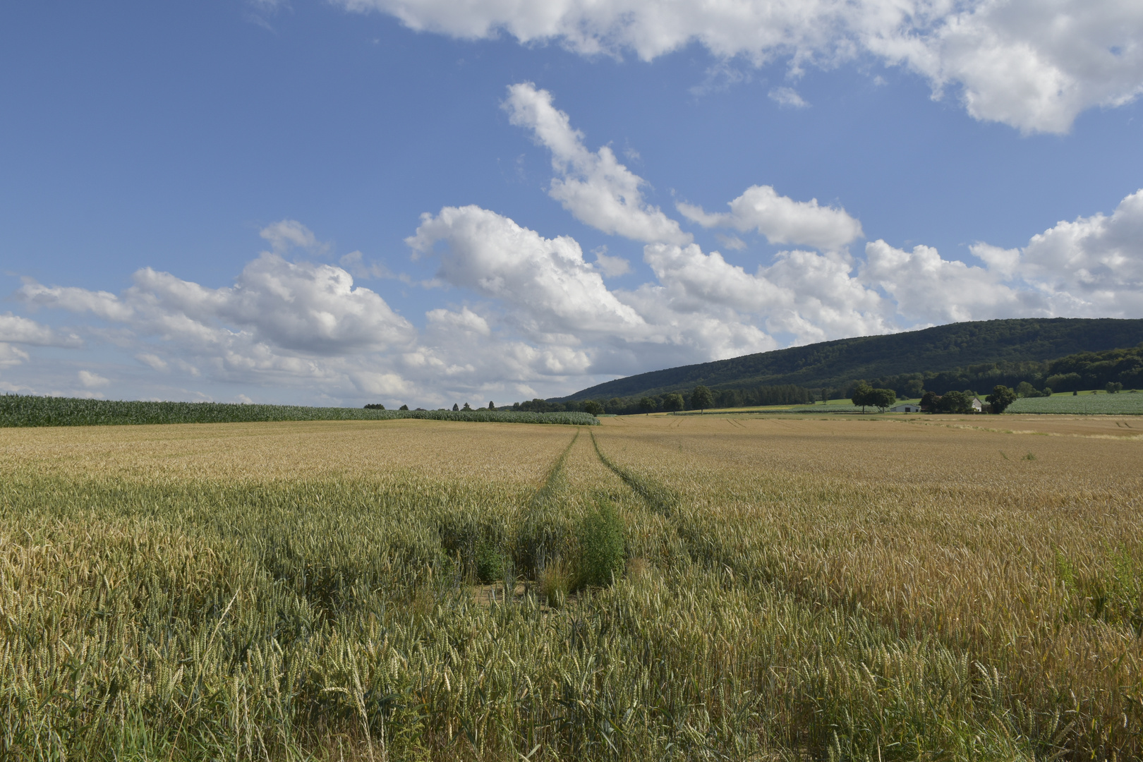 Landschaft bei Salzhemmendorf 