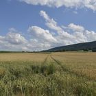 Landschaft bei Salzhemmendorf 