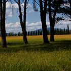 Landschaft bei San Galgano