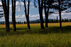 Landschaft bei San Galgano