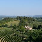 Landschaft bei San Gimignano