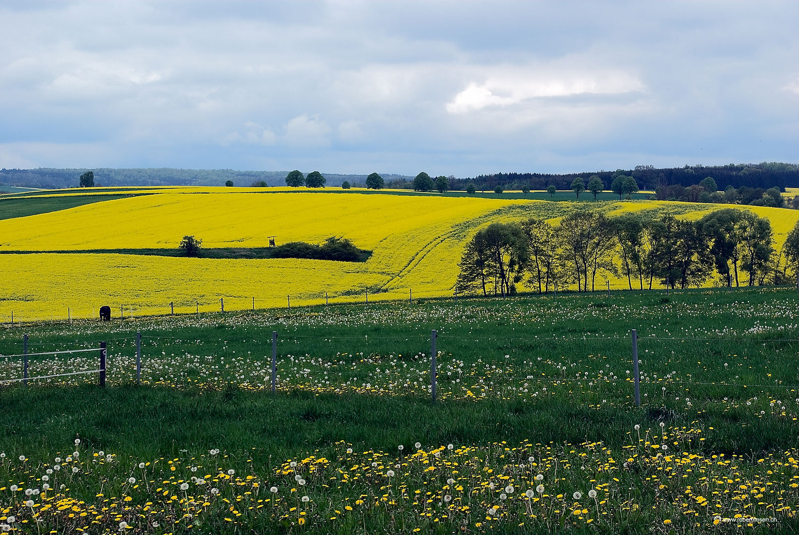 Landschaft bei Scheden