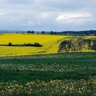 Landschaft bei Scheden