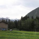 Landschaft bei Schiers