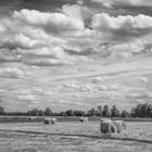 Landschaft bei Schlepzig