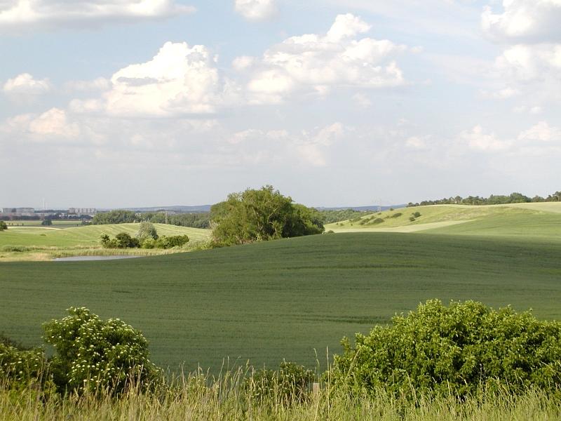 Landschaft bei Schwedt 2