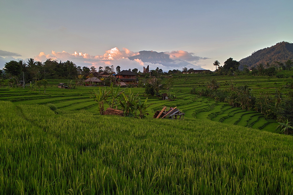 Landschaft bei Sidemen - Bali