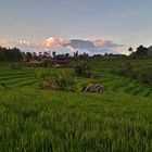 Landschaft bei Sidemen - Bali