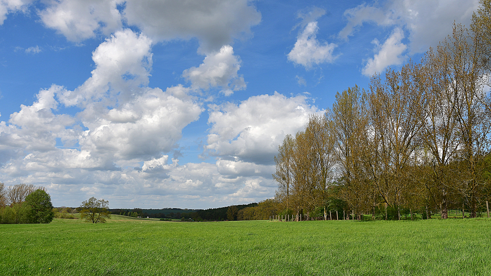 Landschaft bei Sponholz